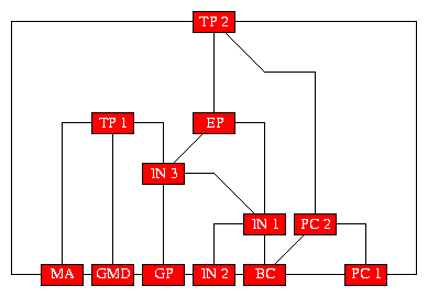 orthokoeln_mix.gif