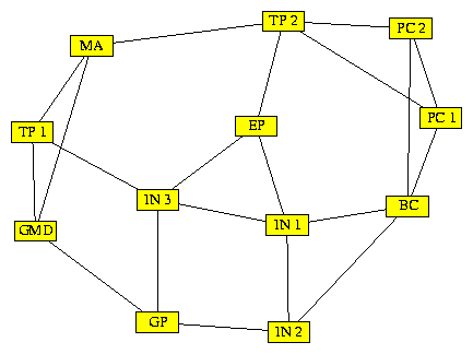 orthokoeln_spr.gif